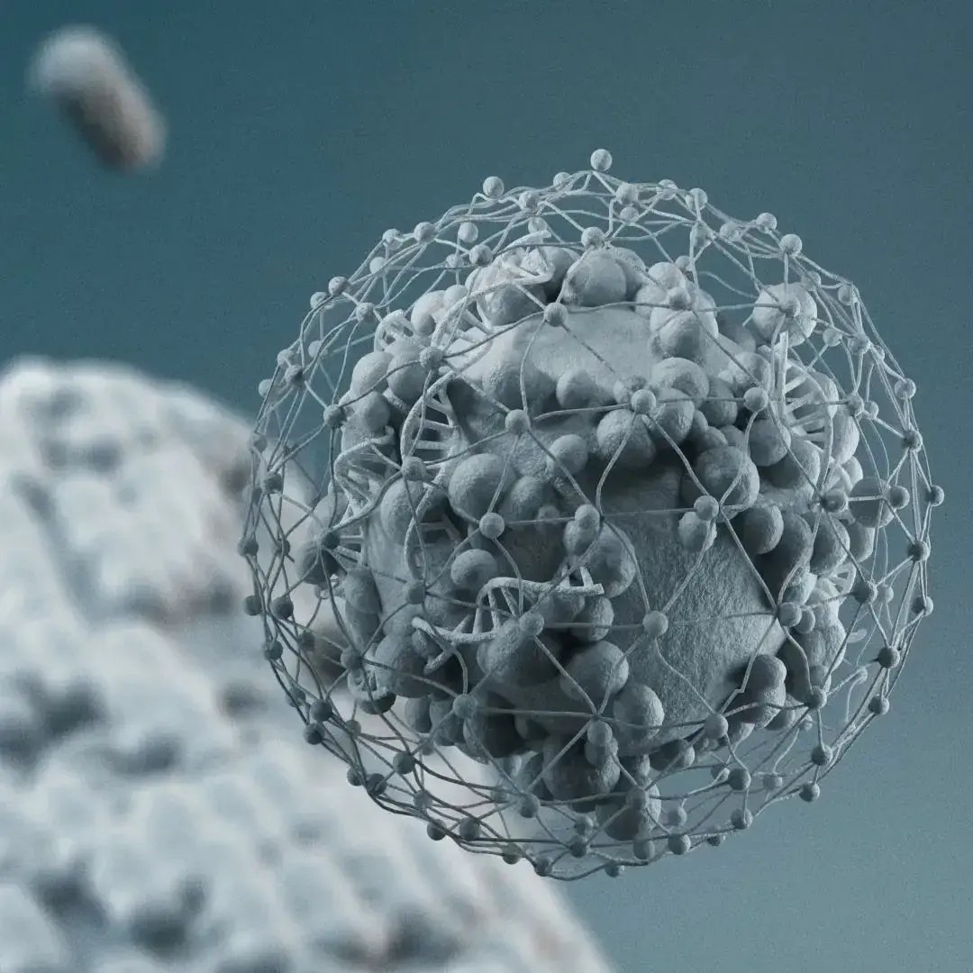 DERM-0010_Exo-Booster_MASTER_V8.00_01_17_18.Still017 Kopie